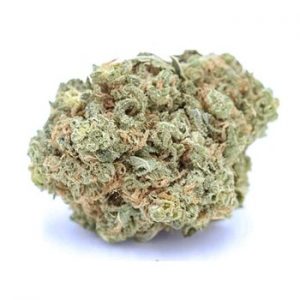 Purple Dream