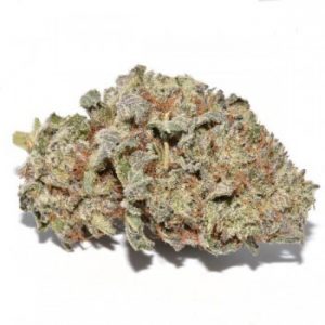 Grape God