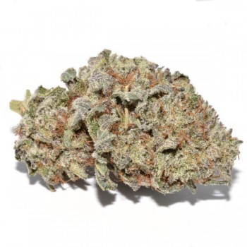 Grape God
