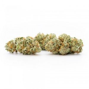 Jack Frost