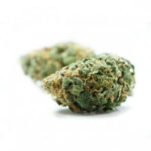 Blue Cheese