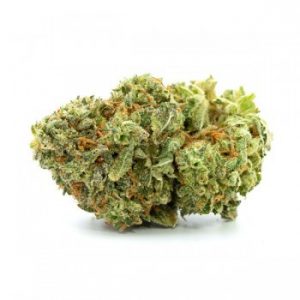 G 13 Haze