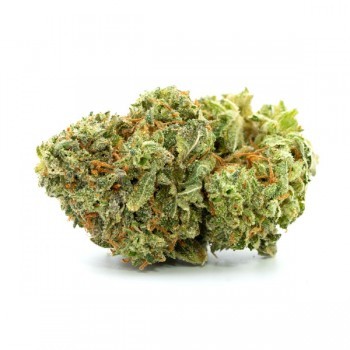 G 13 Haze