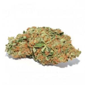 NYC Diesel