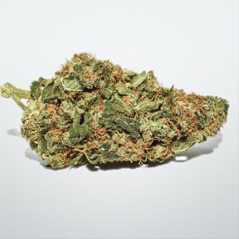 White Widow