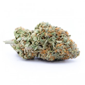 Liberty Haze