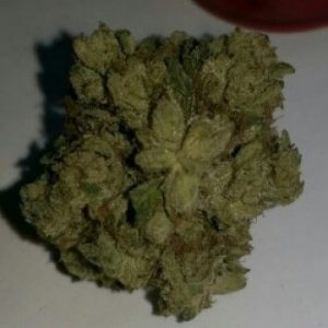 Kandy Kush