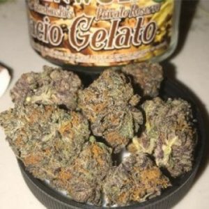 Gelato Strain