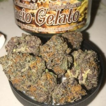 Gelato Strain