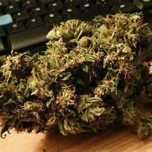 Electric Kush
