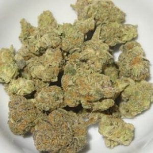 AK 47 Strain