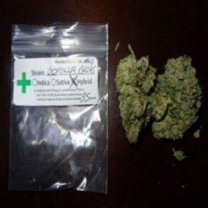 Gorilla Glue