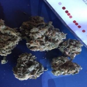 Skittles Marijuana