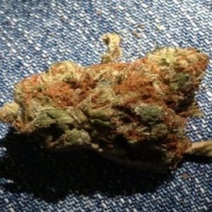Pure Kush