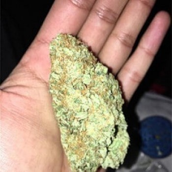 Nukem Strain
