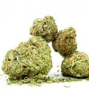 Lemon Kush