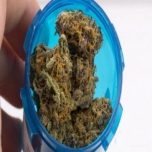 Candyland Marijuana