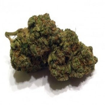 Asteroid OG