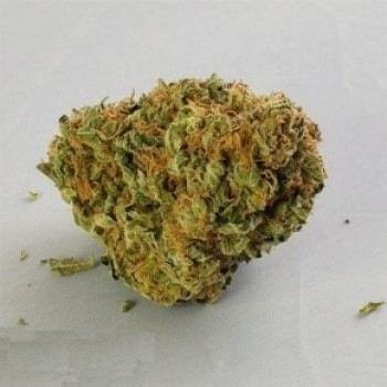 Alaskan Thunder Fuck