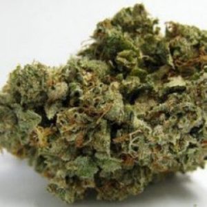Sweet Dutch