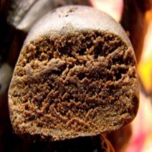 Nederhash Hashish