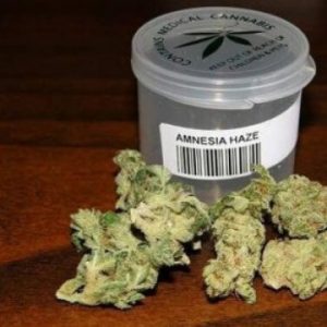 Amnesia Haze