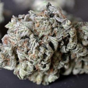 Purple Punch