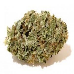Hindu Kush