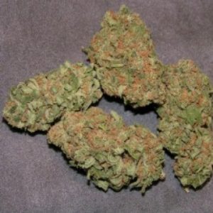 Lavender Kush