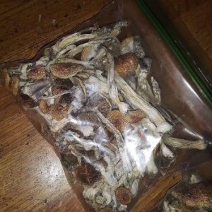 Mushrooms