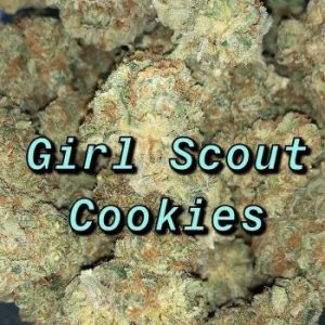 Girl Scout Cookies